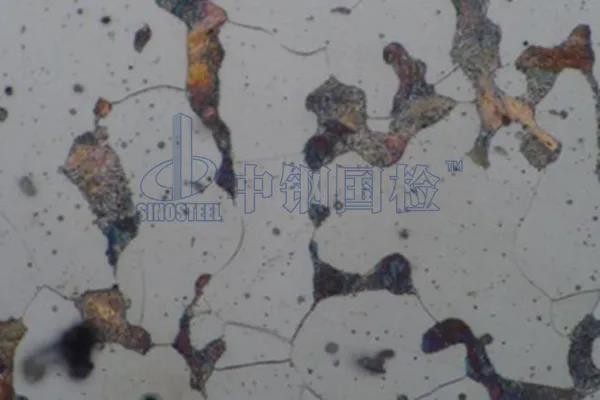 钢中非金属夹杂物检测与定量评级