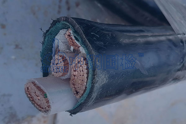 电缆检测
