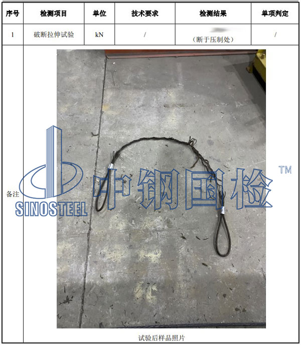 钢丝绳套检测项目结果
