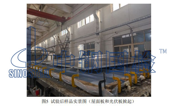 试验后样品实景图