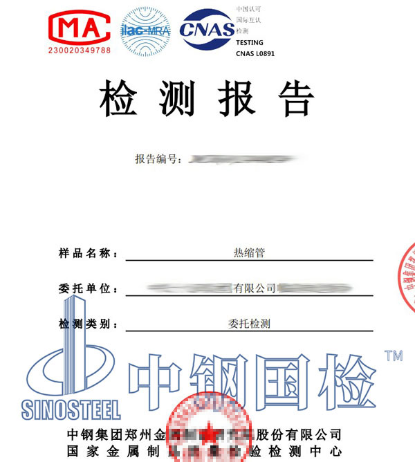 绝缘电阻检测报告