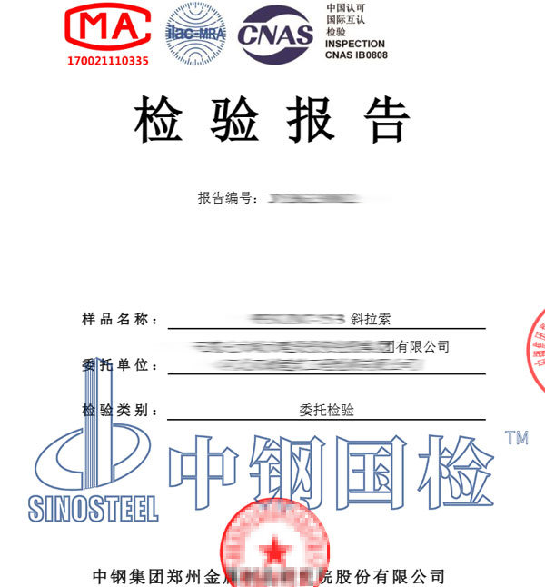 斜拉索检测报告