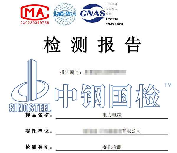 电缆检测报告