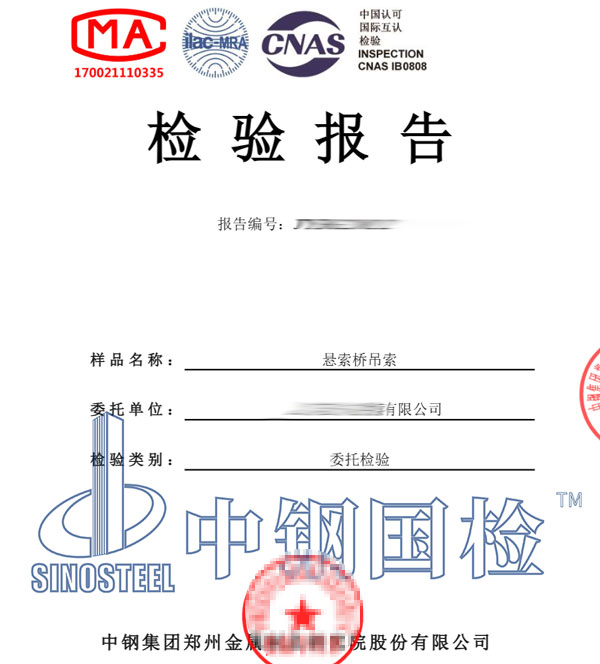 悬索桥检测报告