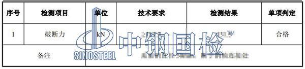 吊装带检测项目结果