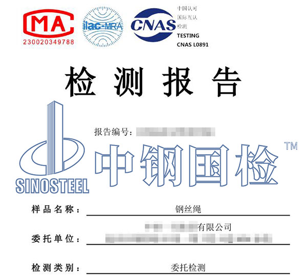 钢丝绳失效分析报告