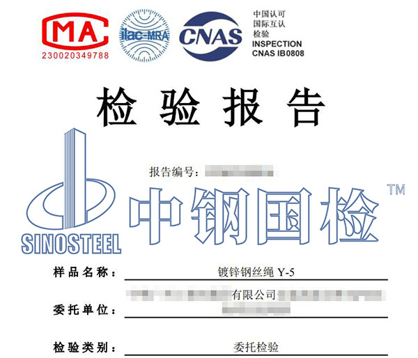 钢丝绳无损检测报告